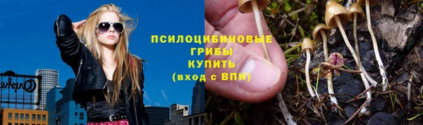крисы Алексеевка