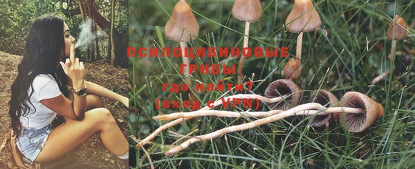 крисы Алексеевка