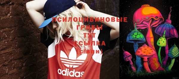 дживик Покров
