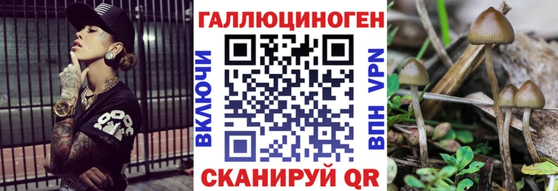 что такое   дарк нет как зайти  Галлюциногенные грибы ЛСД  Сясьстрой 